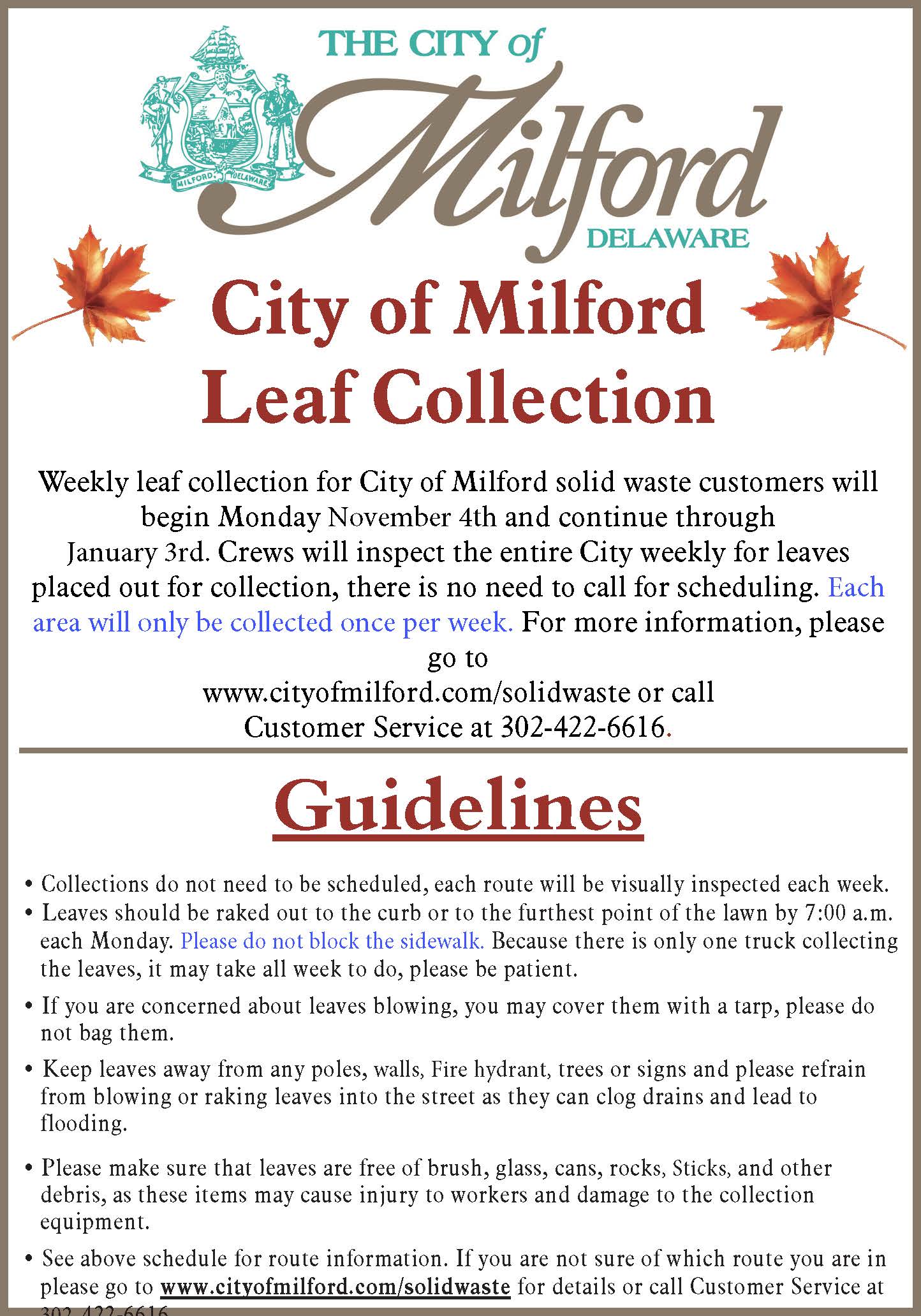 Leaf Collection 2024